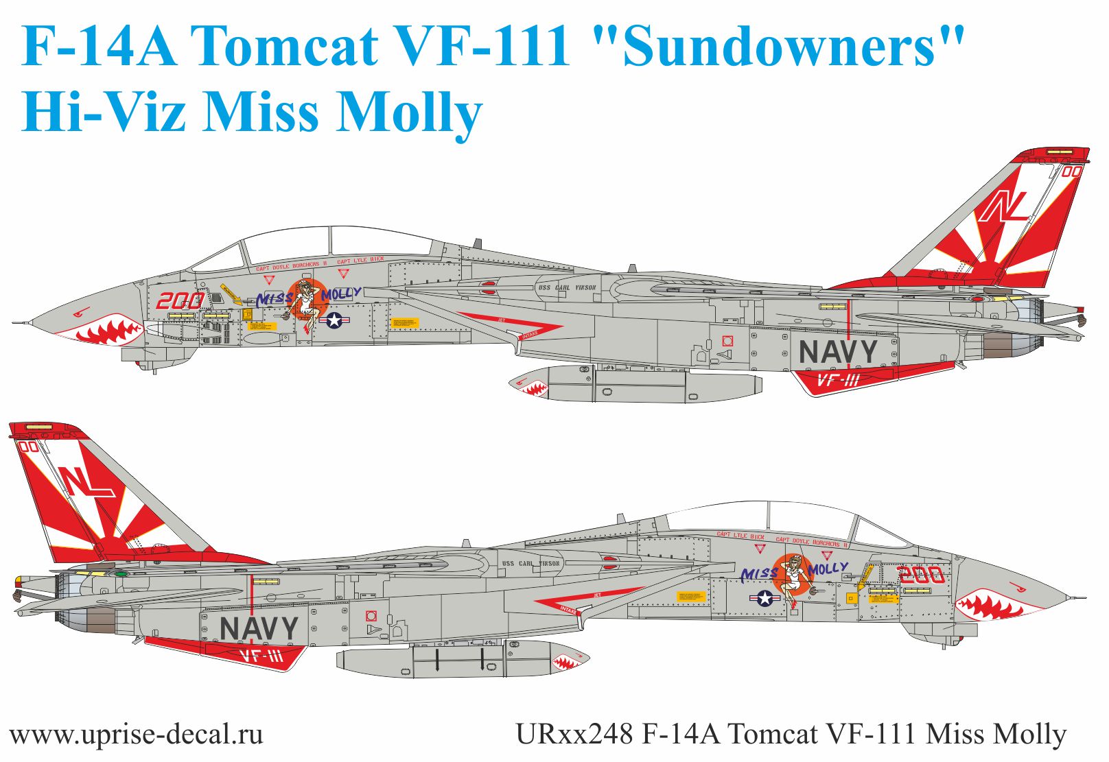 UR72248  декали  F-14A Tomcat VF-111 Pt.1 Supeer CAG and Miss Molly  (1:72)