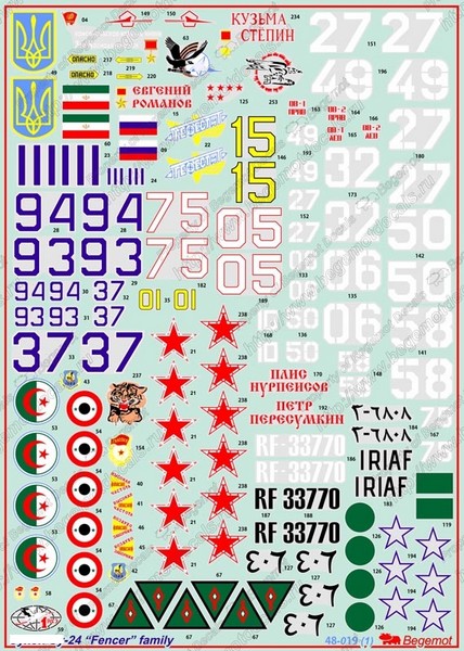 48019  декали  С-24  (1:48)