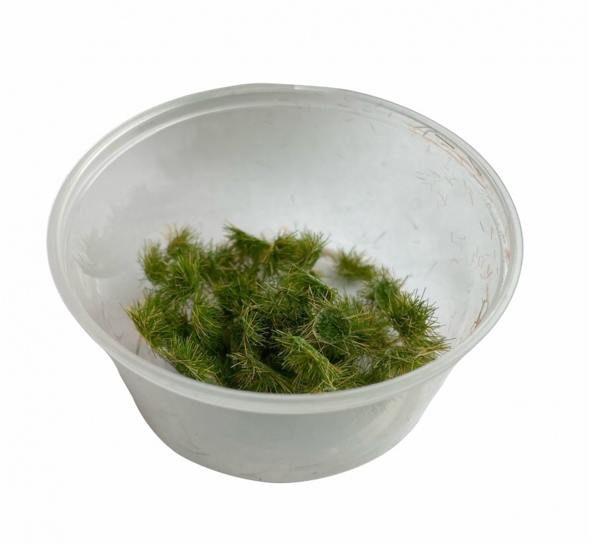 30154  материалы для диорам  Кочки травы, подлесок, 3.5мм / 50шт.