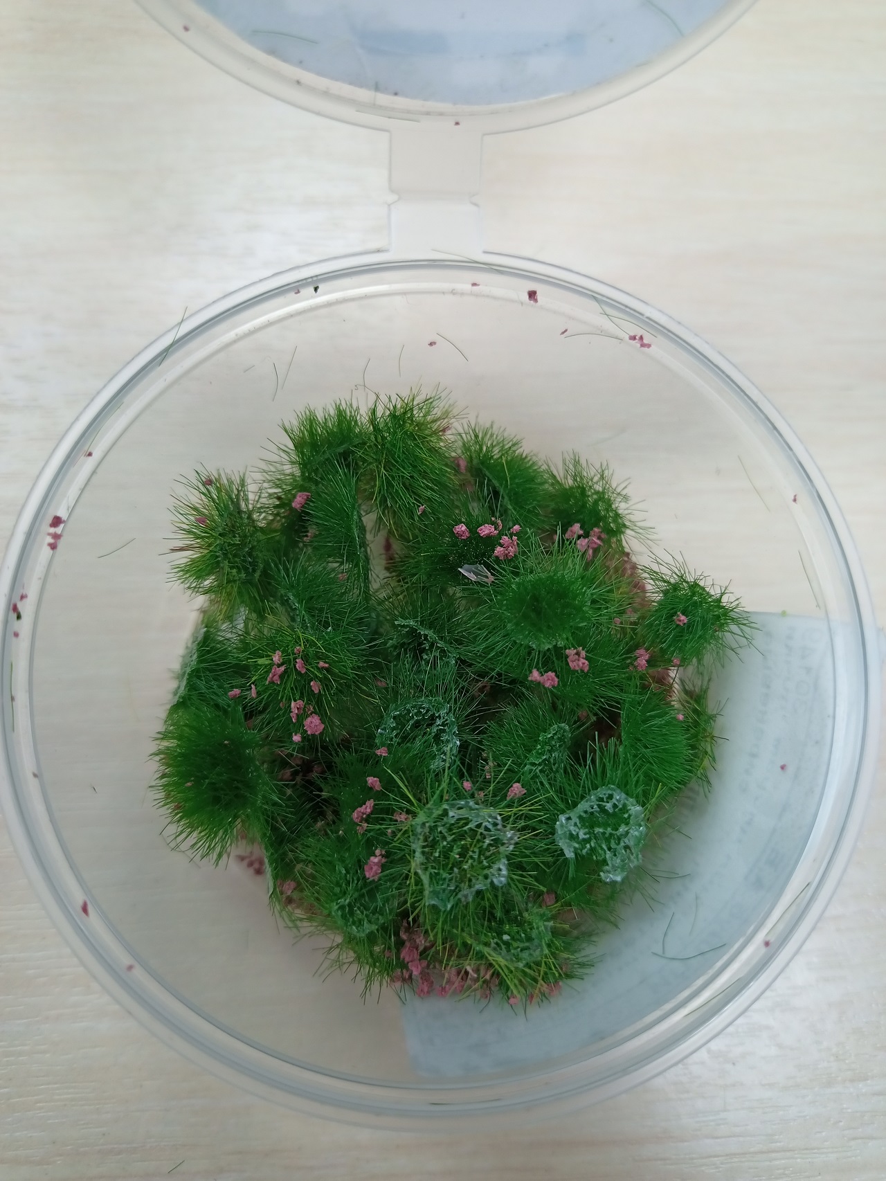 30149  материалы для диорам  Кочки травы цветущие, сиреневые, 5мм/50шт.