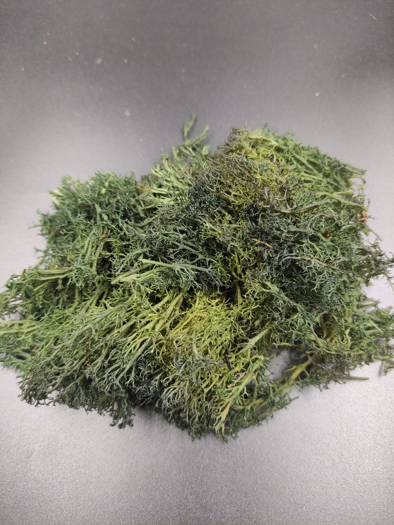 30101  материалы для диорам  Мох стабилизированный , тёмно-зелёный