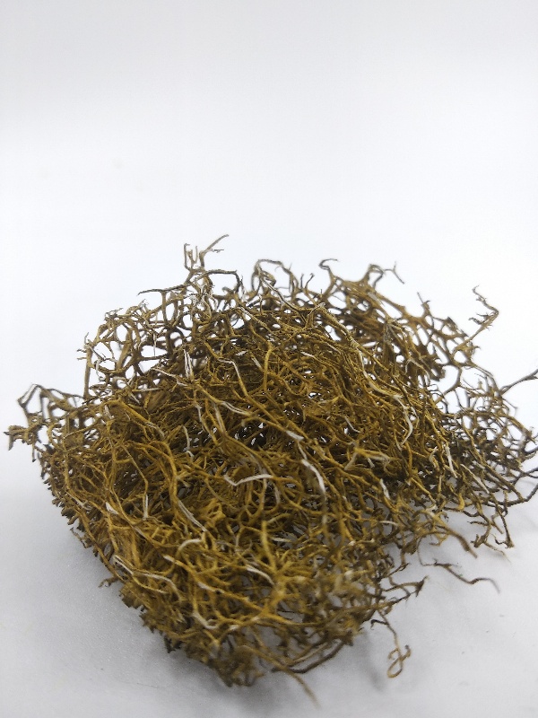 3018  материалы для диорам  Кусты коричневые