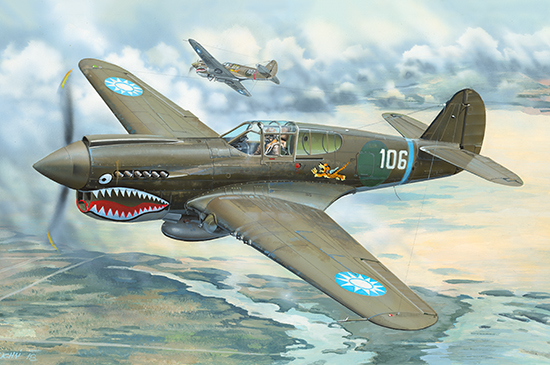 02269  авиация  P-40E War Hawk  (1:32)