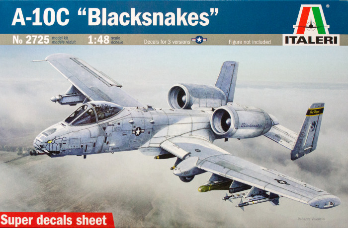 2725  авиация  A-10C "Blacksnakes"  (1:48)