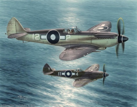SH48116  авиация  Seafire Mk.XV "Far East Service"   (1:48)