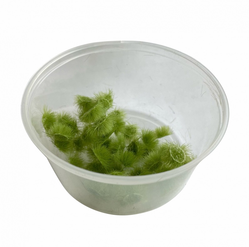 30151  материалы для диорам  Кочки травы, светло-зелёные, 3.5мм / 50шт./ до10мм