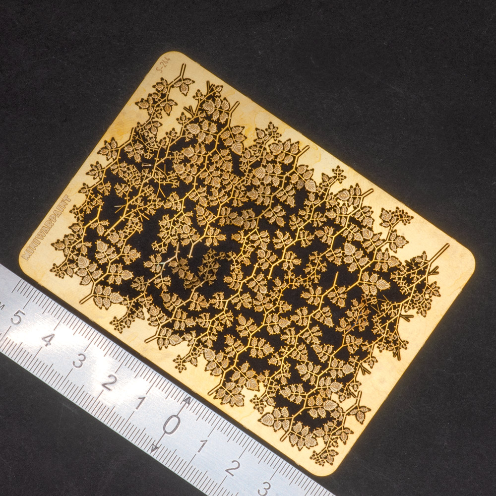 S-244  фототравление  Ветви малины, размер M