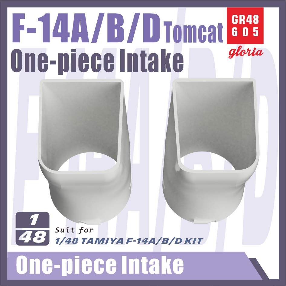 GR48605  дополнения из смолы  F-14A/B/D Tomcat One-piece intake for Tamiya  (1:48)
