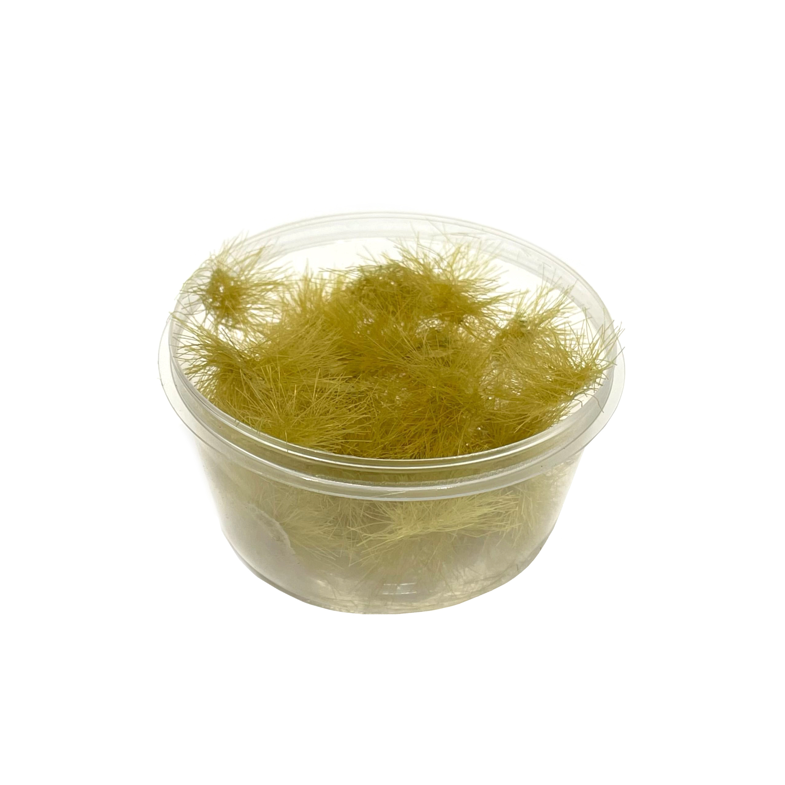 30120  материалы для диорам  Кочки травы золотистые 40шт / 12мм