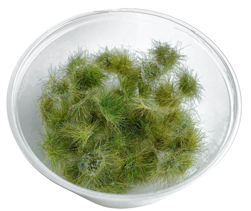 30137  материалы для диорам  Кочки травы, весенние, 6мм/50шт.