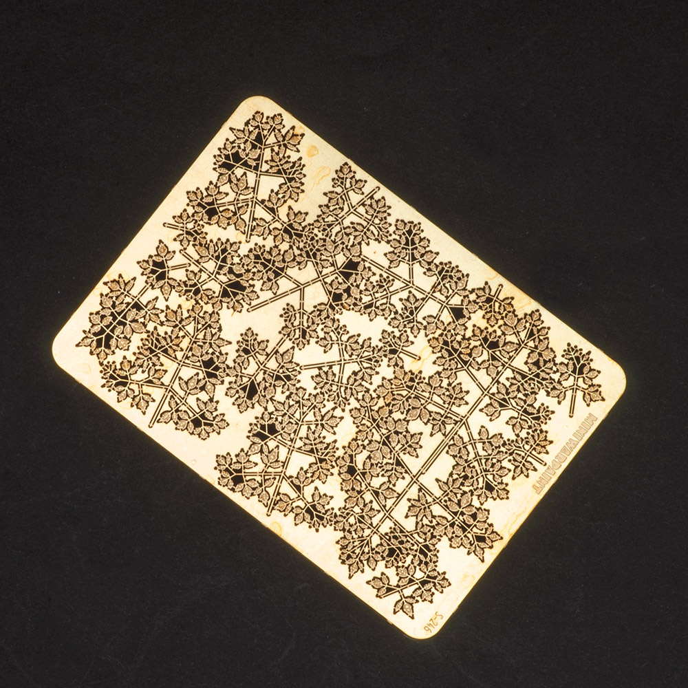 S-246  фототравление  Ветви ясенелистного клена, размер M  (1:35)