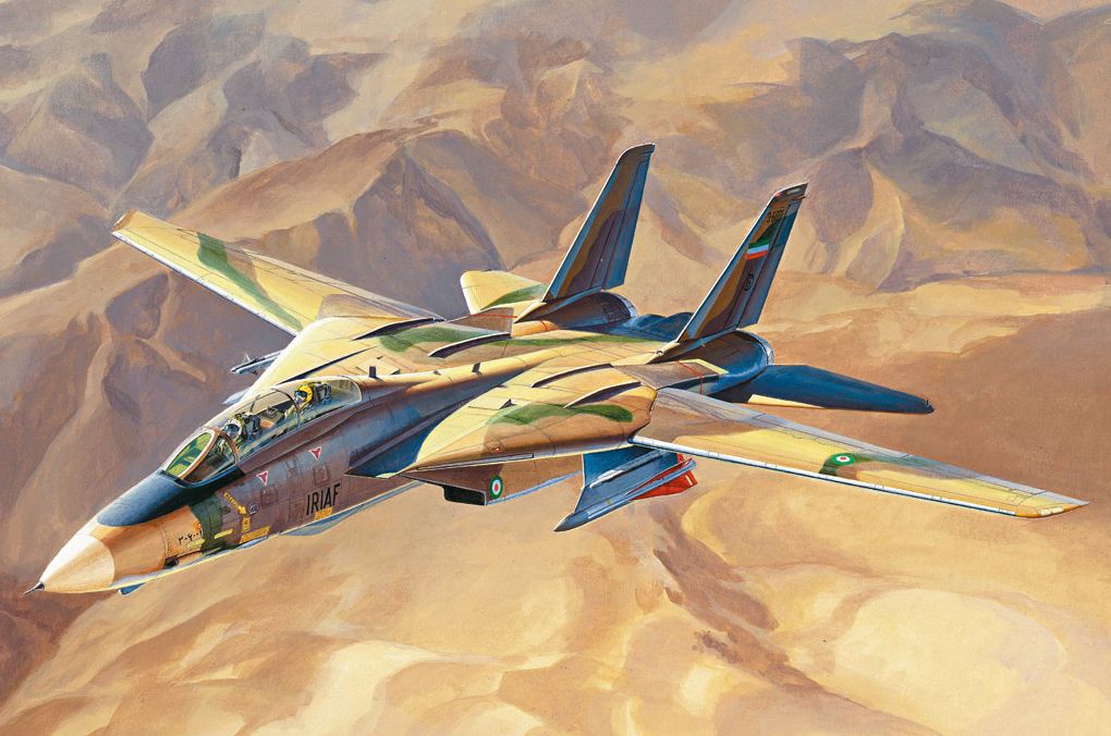 81771  авиация  Persian Cat F-14A Tomcat - IRIAF  (1:48)