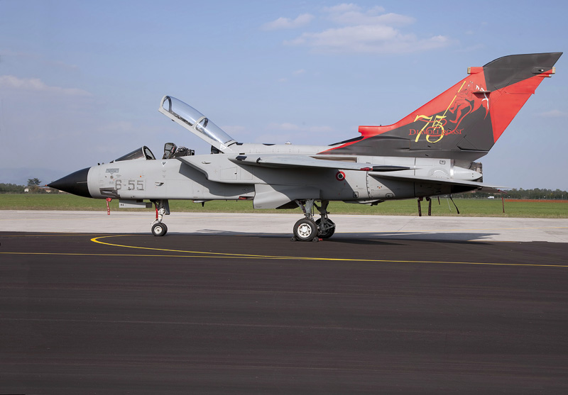 1336  авиация  TORNADO IDS/ECR "Special colors" (1:72)