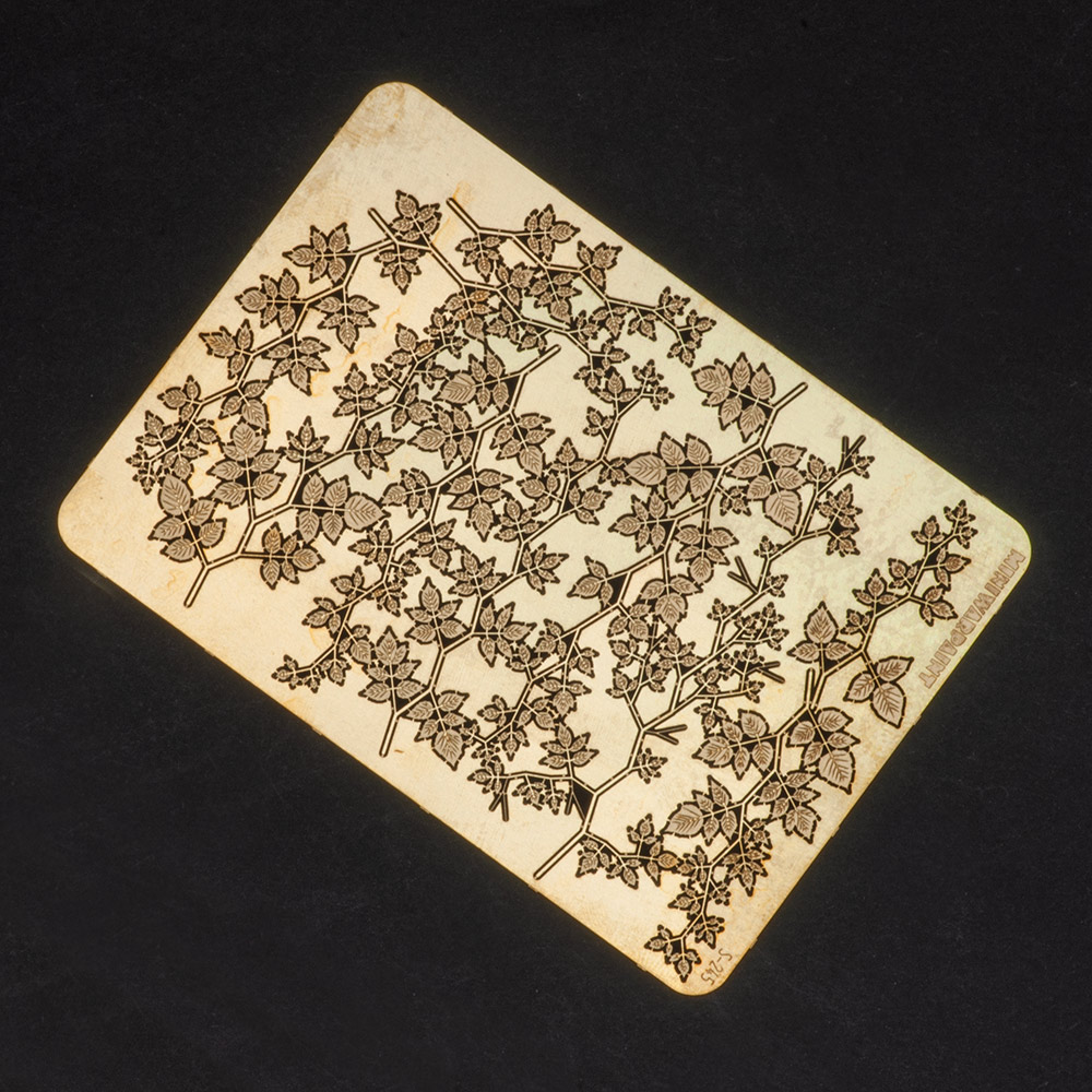 S-245  фототравление  Ветви малины, размер L  (1:24)