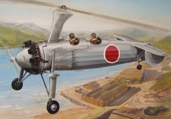 AZ4808  авиация  Kayaba autogyro "O-GO"  (1:48)