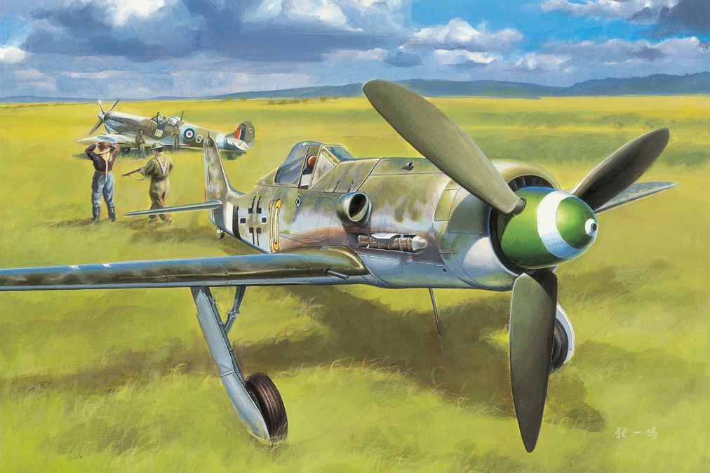 81721  авиация   Focke Wulf FW 190D-13  (1:48)