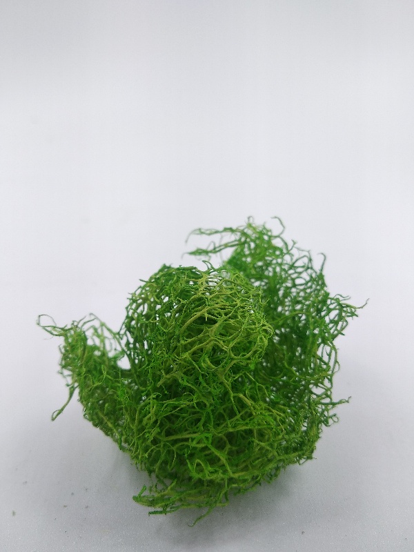 3015  материалы для диорам  Кусты светло-зелёные
