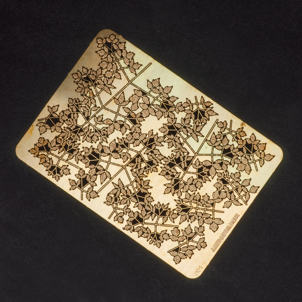 S-247  фототравление  Ветви ясенелистного клена, размер L  (1:24)