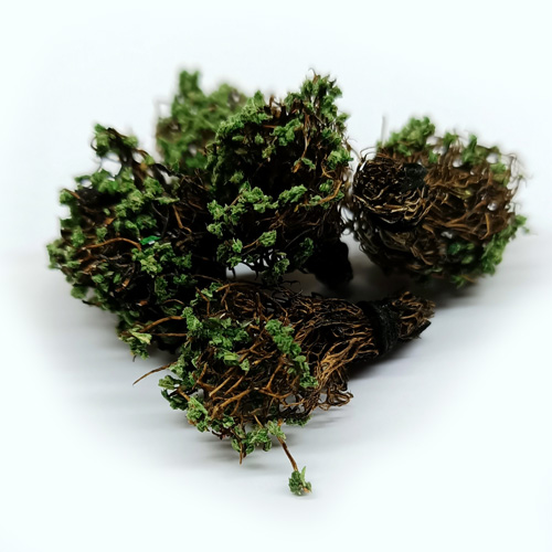 3031/3  материалы для диорам  Придорожные растения. 5 шт. Тёмно-зелёные.