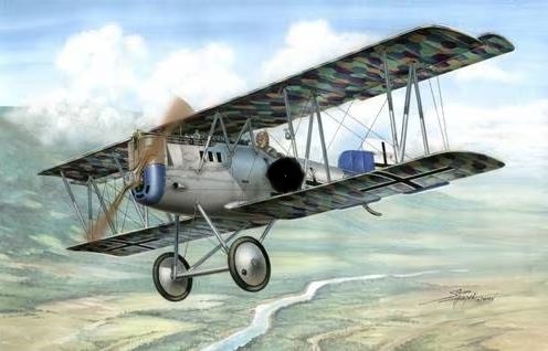 SH48026  авиация  Pfalz D.XII "Early version"  (1:48)