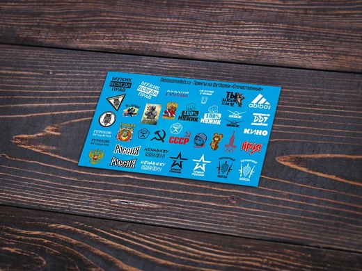 DMS-04002-35  декали  Принты на футболки "отечественные"  (1:35)