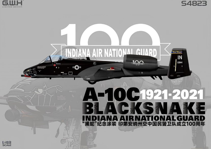 S4823  авиация  A-10C Thunderbolt II "Blacksnake" Indiana Air National Guard  (1:48)